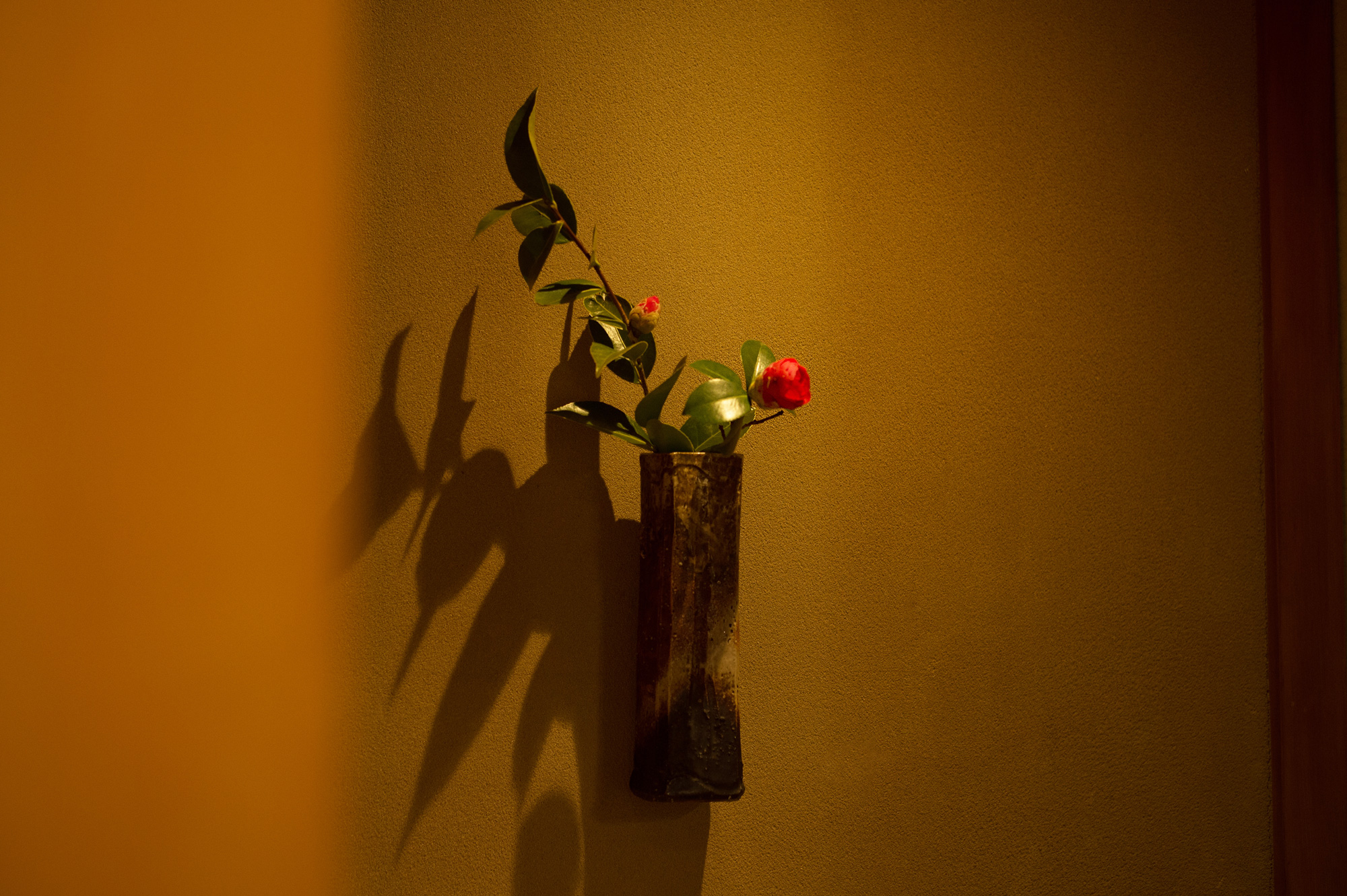 和歌山県・Wakayama市・彩食 ten